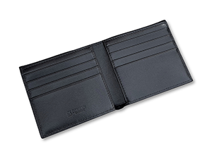 Портмоне Soltan   1102 28 01