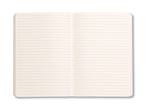 Записная книжка Rhodia Rhodiarama А5 линейка 90 г  117410C