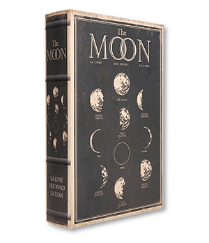 Книга-сейф Authentic Models   MG025