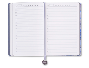 Ежедневник Gourji Санкт-Петербург А5 синий с рельефным изображение  112535