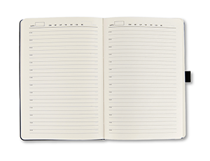 Ежедневник  